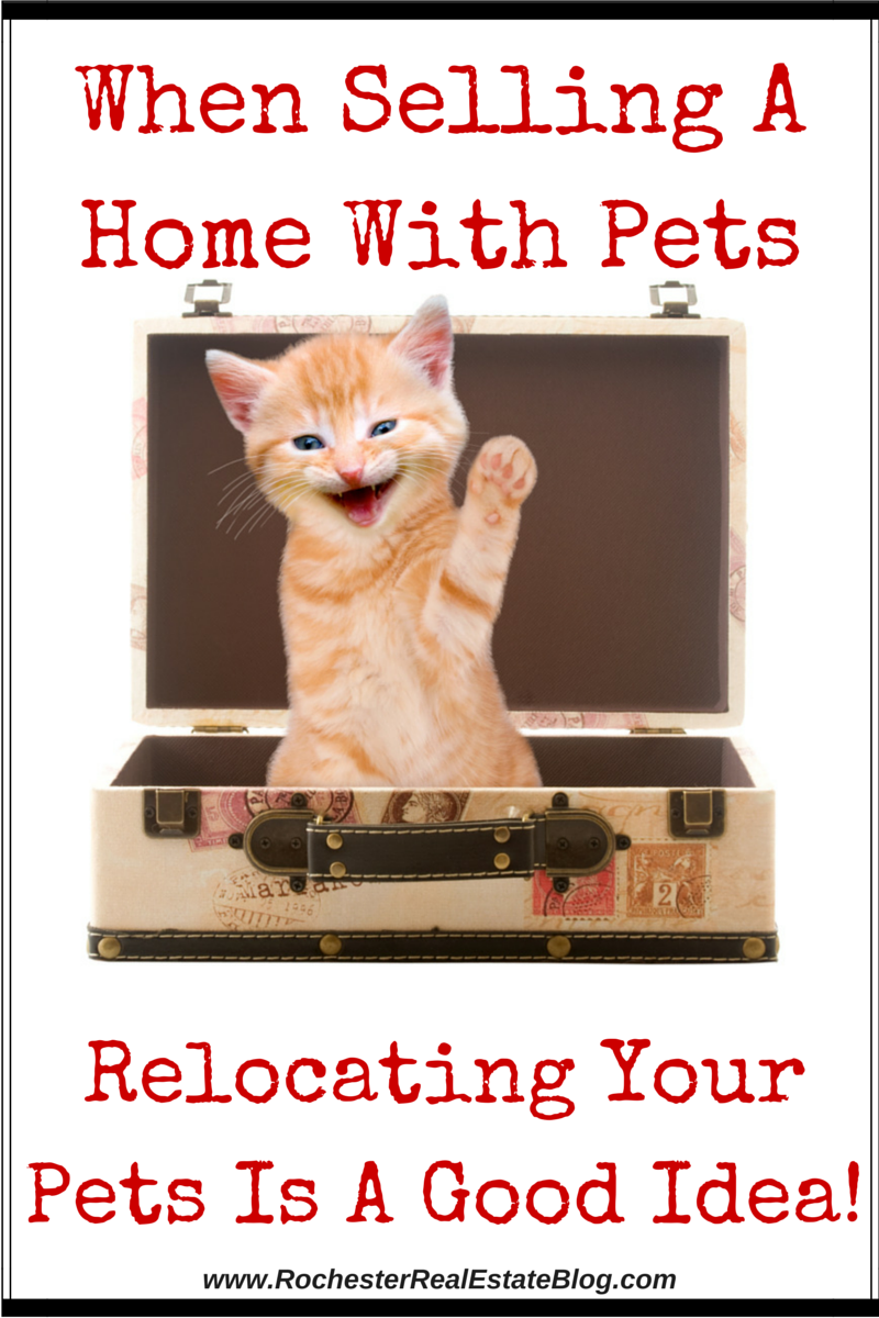 When Selling A Home With Pets, Relocating Your Pets Is A Good Idea