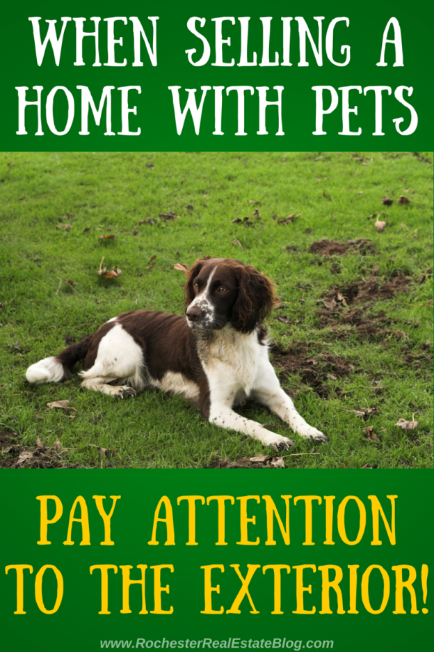 How To Sell A Home With Pets