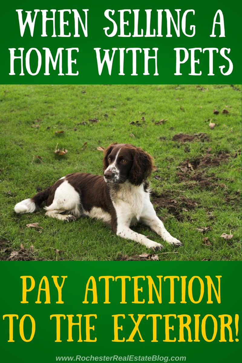 When Selling a Home With Pets, Pay Attention To The Exterior