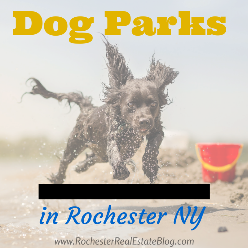 Dog Parks in Rochester NY | Monroe County NY Dog Parks