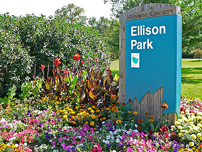 Ellison Dog Park located in Rochester NY