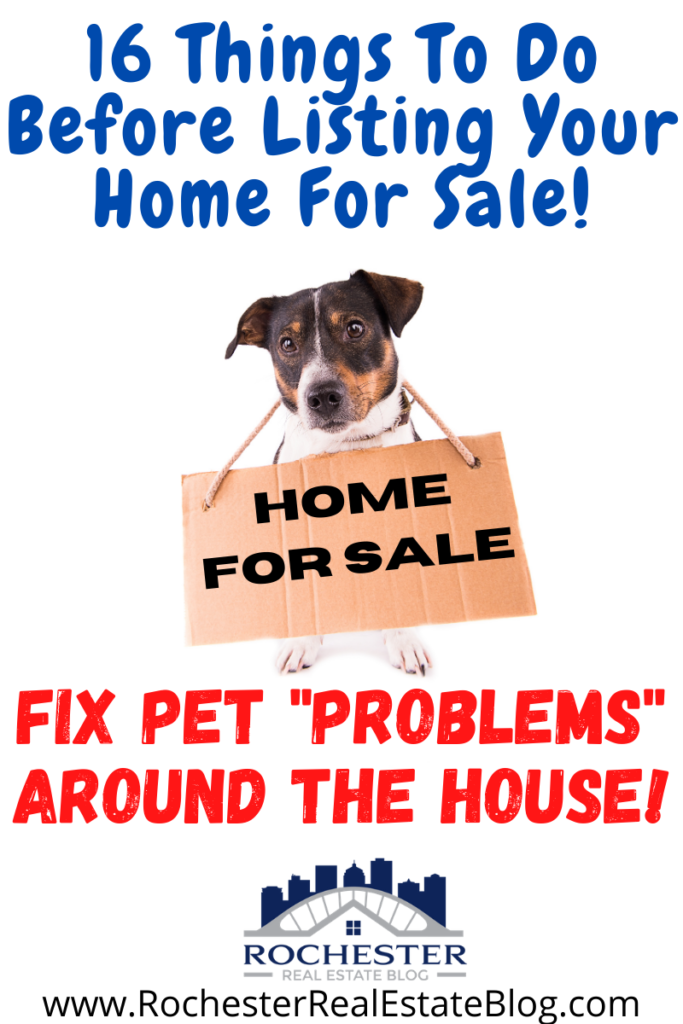 Fix Pet "Problems" Around The House - 16 Things To Do Before Listing Your Home For Sale!