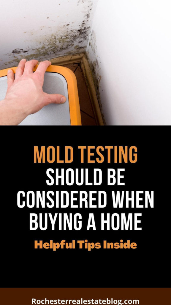 Mold Testing Should Be Considered When Buying A House
